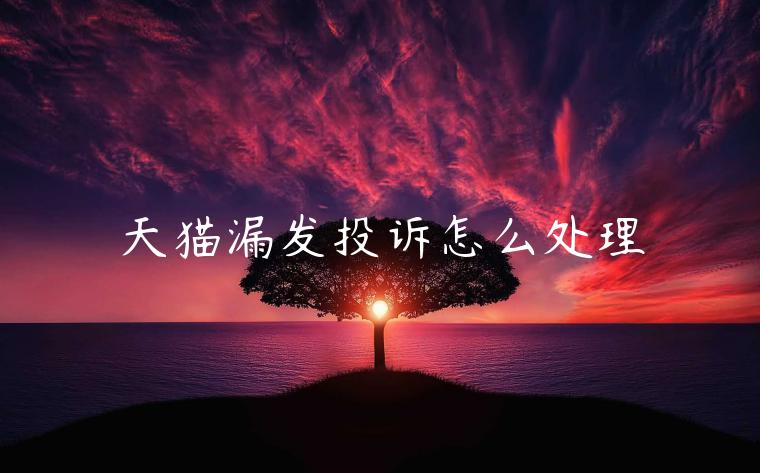 天貓漏發(fā)投訴怎么處理